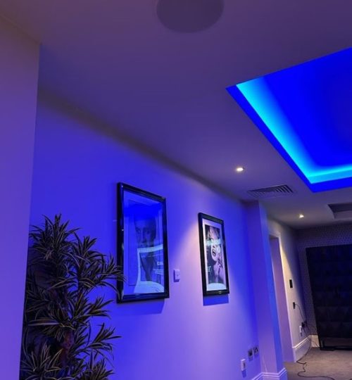 Levland Ltd - Cinema Ceiling Speaker