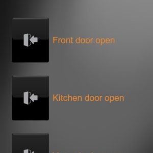 Levland Ltd - Custom App - Ext Doors